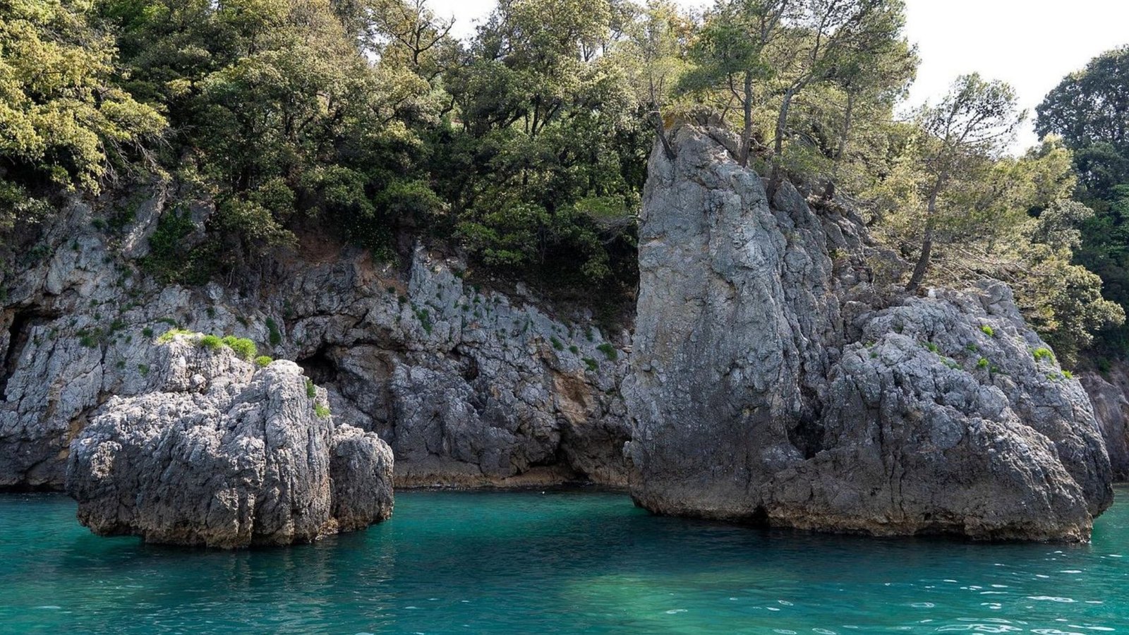 Rocky cliffs with green trees rise above clear turquoise water along a coastal shoreline—an iconic scene perfect for your Italy bucket list and unforgettable Italy experiences.