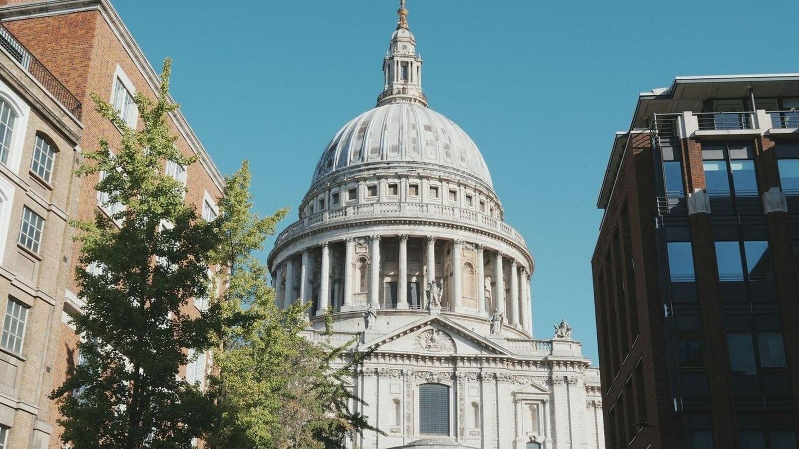 St. Paul’s Cathedral in London, a must-see London attraction, stands with its iconic dome framed by modern and historic buildings, while a green tree adorns the foreground beneath a clear blue sky.