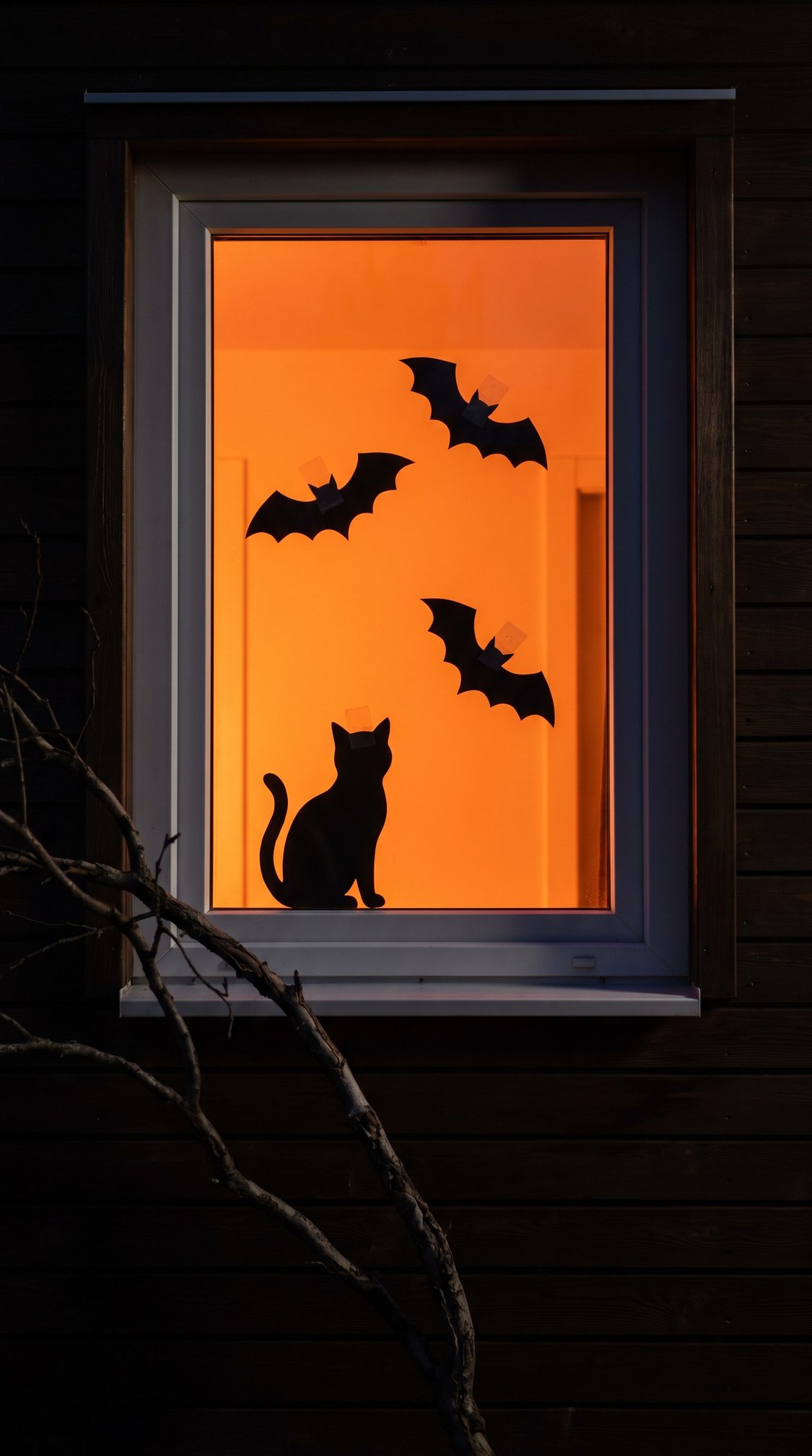 A window glows orange with silhouettes of a cat and three bats taped to the glass, evoking a Halloween atmosphere. Bare tree branches are visible in the foreground.