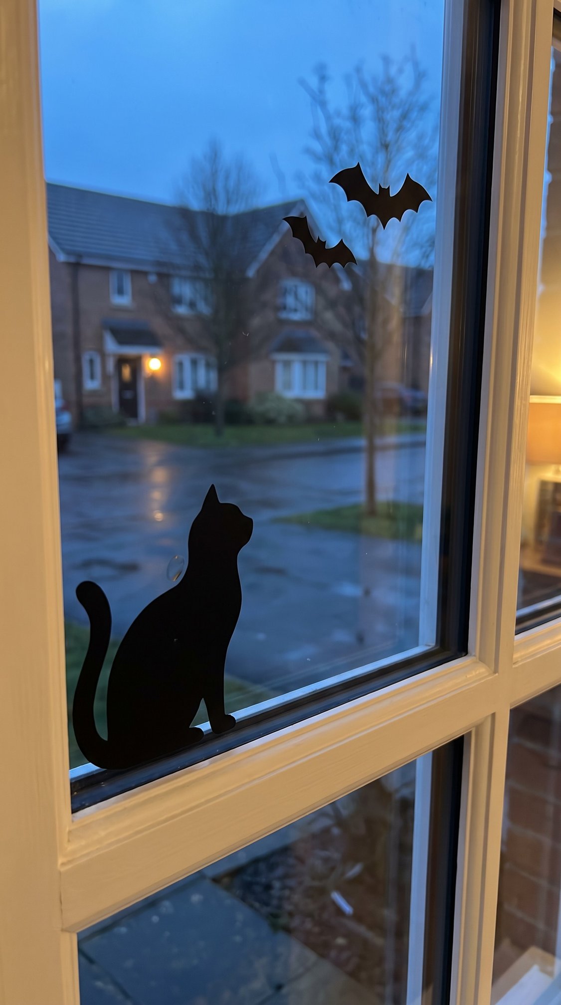 A window with black cat and bat silhouettes stickers; outside, its dusk with houses, bare trees, and a wet street visible through the glass.